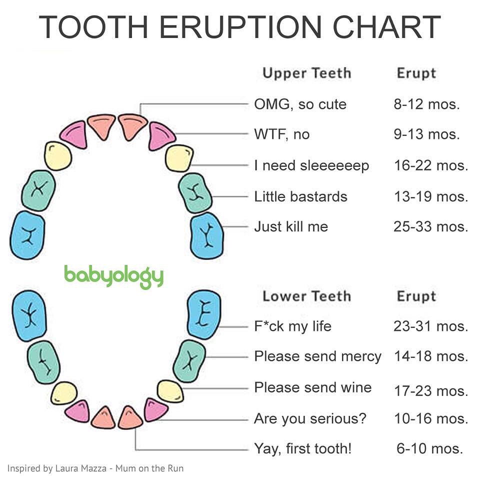 Baby teeth eruption per age