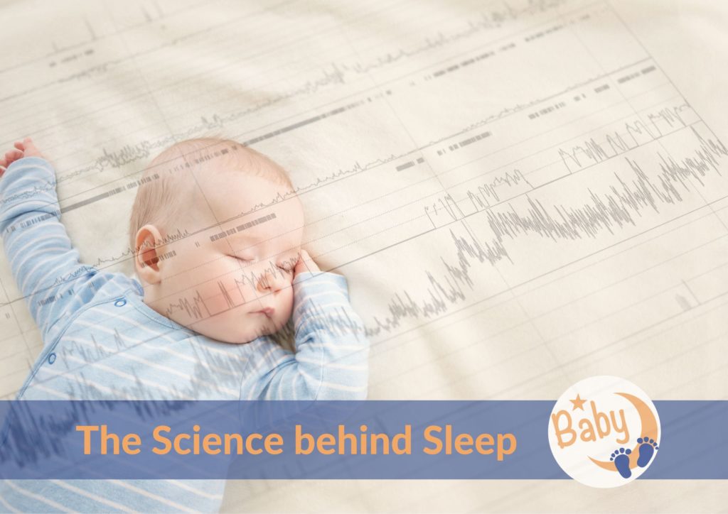 Understand the science behind baby sleep.