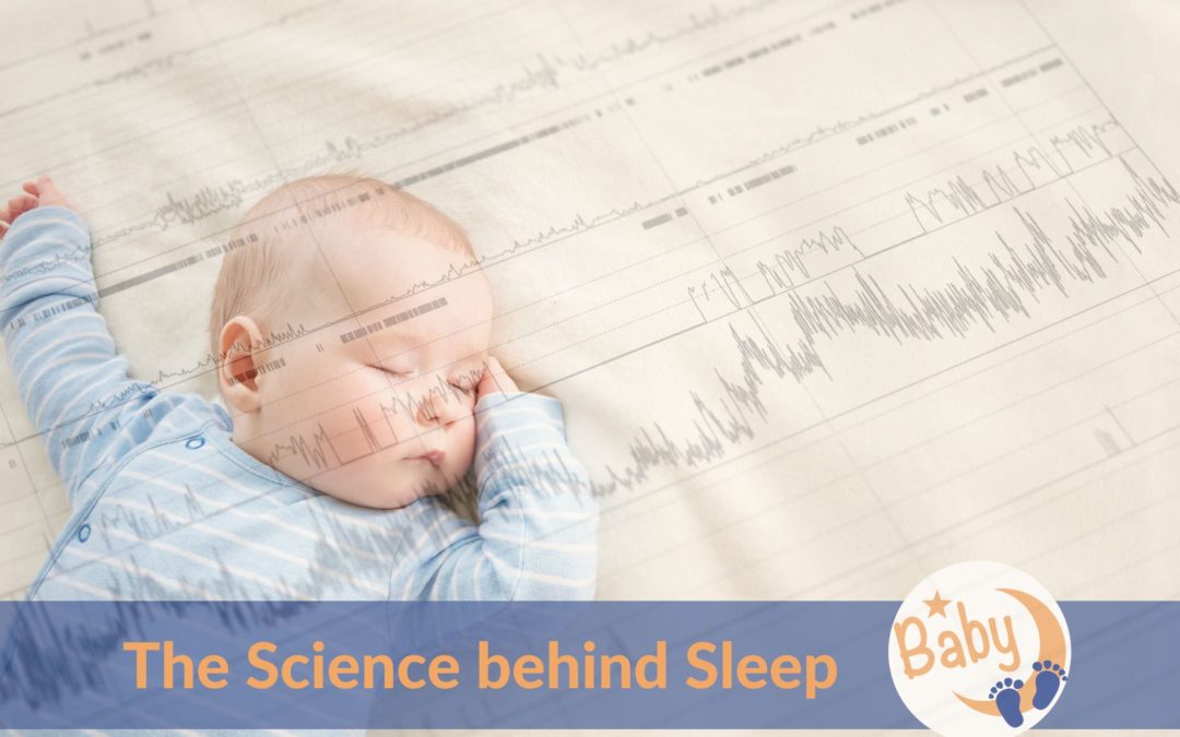 The Science behind Baby Sleep