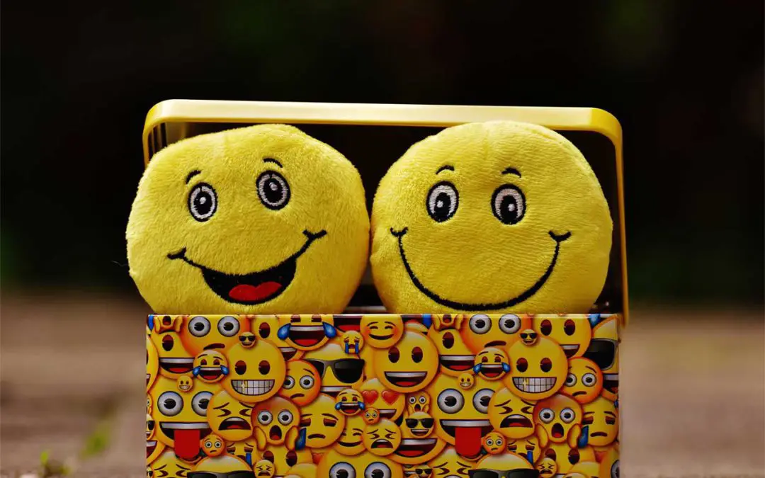 Two plush smiley faces in an emoji-printed box, illustrating different baby temperaments